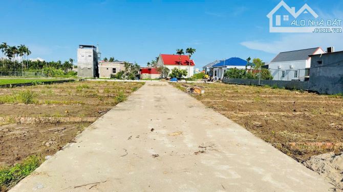 Bán đất Minh Tân - Kiến Thụy - Hải Phòng - 3