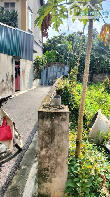Đa Tốn_Đào Xuyên-Cạnh VINOCP-Lô Góc -Ô TÔ Vào Ra Thoáng mát-62m Chỉ 5₫ - 3