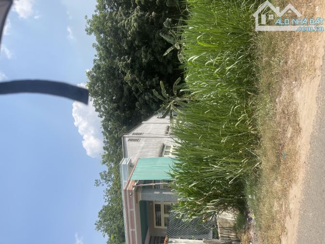 Đất Tây Ninh chính chủ mặt tiền đường nhựa ô tô, gần trường học - 3