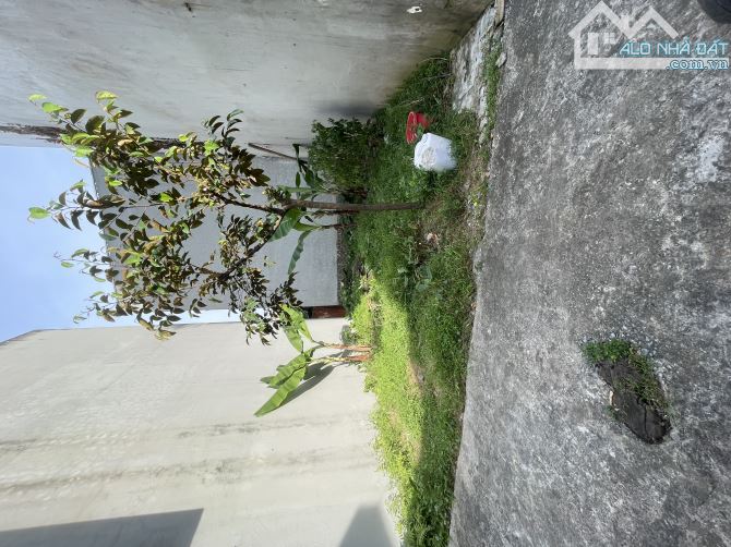 Bán đất 47m² tại tổ Gia Trung, Thị trấn Quang Minh, Mê Linh, Hà Nội - 3