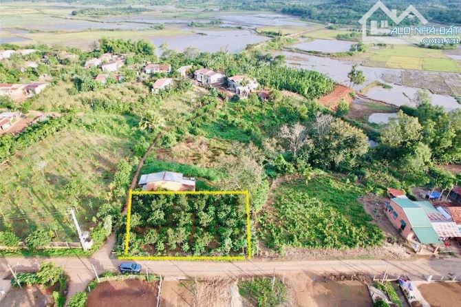 Bán đất mặt tiền đường nhựa Xã Eahu - cưkuin. - 3