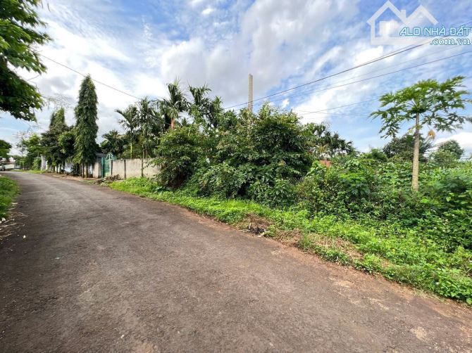 Bán 2 lô thôn 1 eakao - 1.190 tỷ và 990 triệu - 3