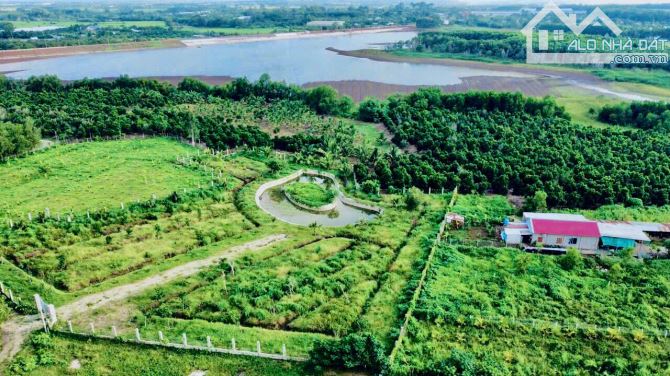 Bán đất tại Bà Rịa Vũng Tàu, giá 500 triệu - 4