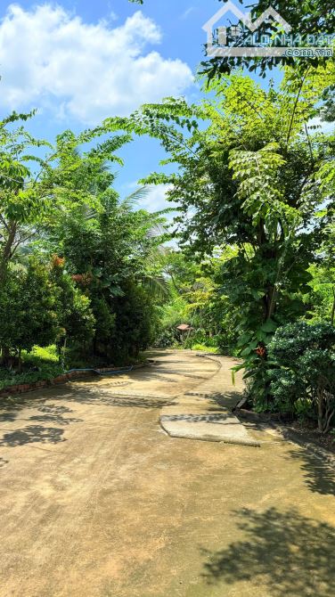 🏡 BÁN KHU NHÀ VƯỜN NGHỈ DƯỠNG CAO CẤP GẦN HỒ – MẶT TIỀN TỈNH LỘ 992 – CHÂU ĐỨC, TP.HCM 💰 - 4