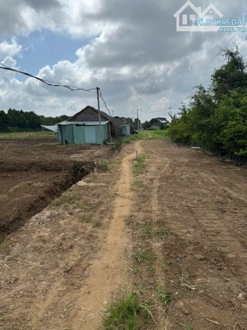 Đất Lúa 30 x 48m Xuân Thới Thượng 2, HM. - 4