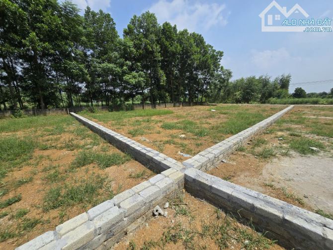 500m2 - Giá 1x - Tách thửa được - Chủ cần tiền cần bán - Vị trí kết nối - Gần DH09 - 4