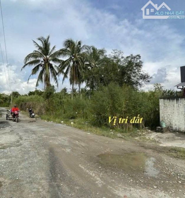 Bán gấp miếng đất ở Tân Thới Nhì 101m2 giá 830 triệu sổ hồng riêng - 4