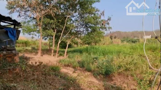 Bán lô trang trại suối Do Hàm Thuận Bắc 1,3ty/ha - 4