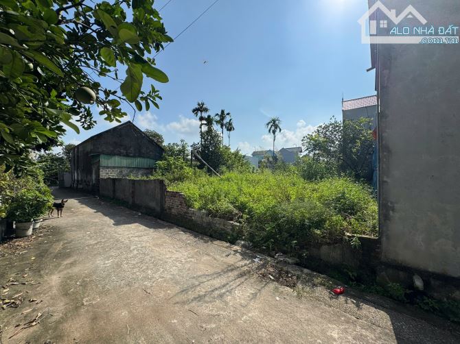 SIÊU PHẨM ĐẤT TRƯỜNG YÊN CHƯƠNG MỸ, DIỆN TÍCH 110M MẶT TIỀN GẦN 5M - 3