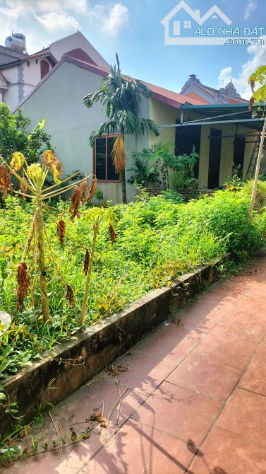 Đa Tốn_Đào Xuyên-Cạnh VINOCP-Lô Góc -Ô TÔ Vào Ra Thoáng mát-62m Chỉ 5₫ - 4