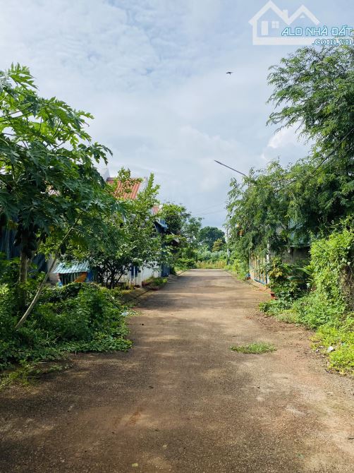 Bán đất nhánh đường số 50 tỉnh lộ 52 Hoà Long, Giá bán: 1,8tỷ - Diện tích: 143m2 - 4