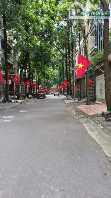 bán đất kdt Mậu Lương - Hàng Bè 50m2 đường 12m giá chỉ 11,8 tỷ - 4