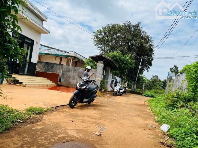 Bán đất hẻm mậu thân - 1.250 tỷ - 4