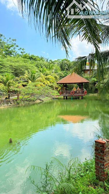 🏡 BÁN KHU NHÀ VƯỜN NGHỈ DƯỠNG CAO CẤP GẦN HỒ – MẶT TIỀN TỈNH LỘ 992 – CHÂU ĐỨC, TP.HCM 💰 - 5