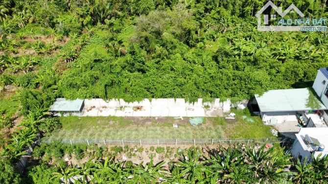 Bán nhà sân vườn 854m2 mặt tiền đường Bông Vang - Mỹ Khánh - 5