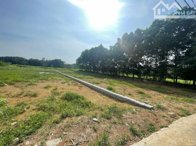 500m2 - Giá 1x - Tách thửa được - Chủ cần tiền cần bán - Vị trí kết nối - Gần DH09 - 5