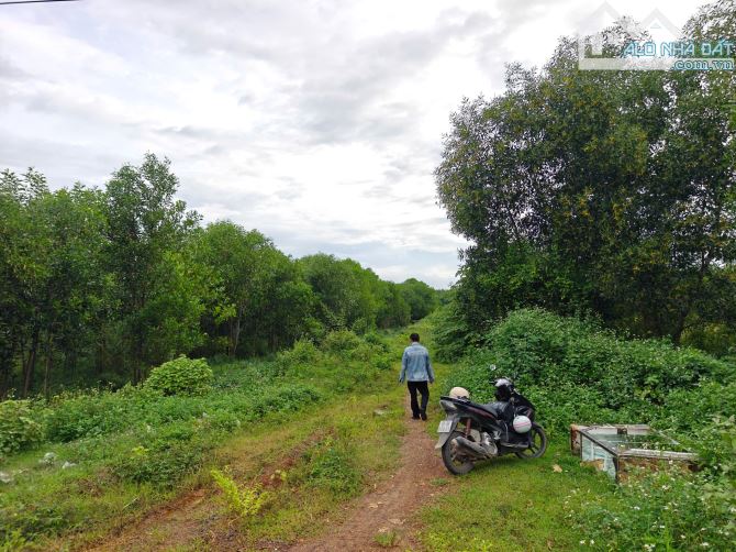 CC005 Cần Bán gấp 4700m2 quy hoạch thổ cư, gần KDL GIANG ĐIỀN. Chỉ còn 4,4 tỷ (tất cả)  * - 5