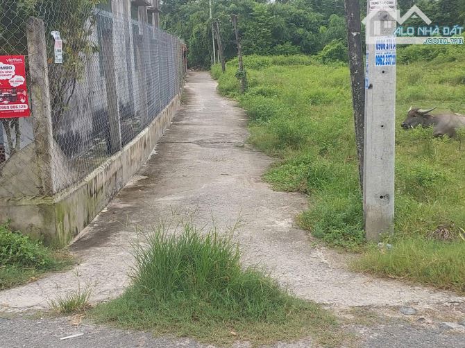 10x32 nhà và đất tại phường Gò Dầu. sổ hồng riêng. 1,1 tỷ - 5