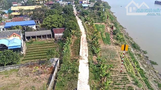 Bán đất mặt sông Mỹ Tân, gần bến Phà Tân Đệ, cơ hội dành cho người thích gần thiên nhiên - 5