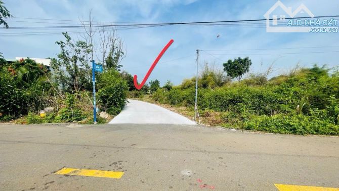 485m2 Đất Xã Đất Đỏ Ngay Gần Trung Tâm Hành Chính 💰Giá Chỉ 1,7 Tỷ  📐Dt: ngang 7.3x38m - 5
