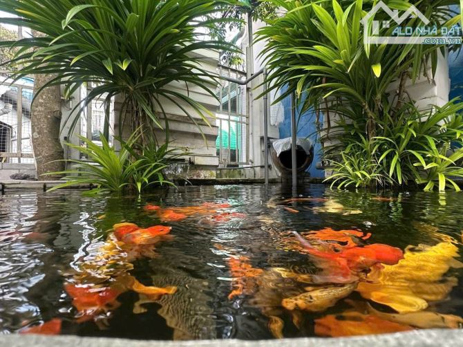 🌈Dt 10x15 NHÀ TRUNG TÂM THỊ TRẤN HÓC MÔN VỊ TRÍ ĐẸP DỌN VÀO Ở NGAY - 5