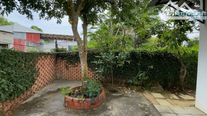 Nhà vườn mặt tiền giá rẻ Đường nhựa lớn Nguyễn Văn Đắc- TT Đất Đỏ- BRVT  DT: 10x30 (298m2- - 6