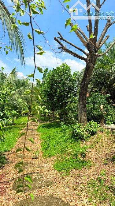 🏡 BÁN KHU NHÀ VƯỜN NGHỈ DƯỠNG CAO CẤP GẦN HỒ – MẶT TIỀN TỈNH LỘ 992 – CHÂU ĐỨC, TP.HCM 💰 - 6