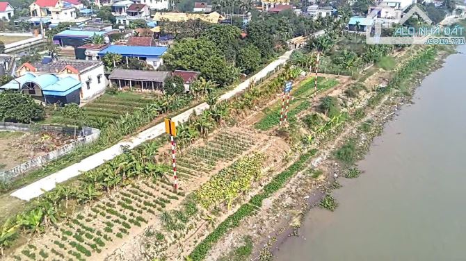Bán đất mặt sông Mỹ Tân, gần bến Phà Tân Đệ, cơ hội dành cho người thích gần thiên nhiên - 6