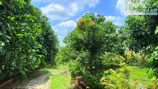 🏡 BÁN KHU NHÀ VƯỜN NGHỈ DƯỠNG CAO CẤP GẦN HỒ – MẶT TIỀN TỈNH LỘ 992 – CHÂU ĐỨC, TP.HCM 💰 - 7