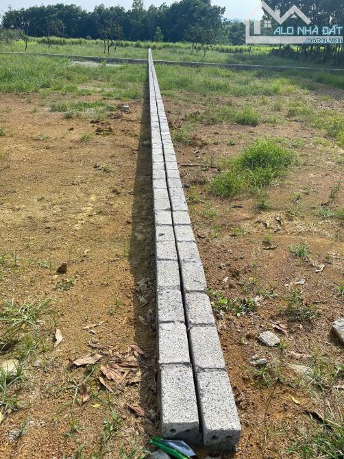 500m2 - Giá 1x - Tách thửa được - Chủ cần tiền cần bán - Vị trí kết nối - Gần DH09 - 7