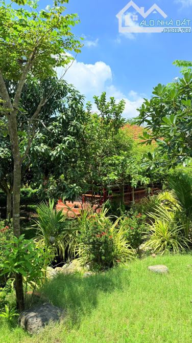 🏡 BÁN KHU NHÀ VƯỜN NGHỈ DƯỠNG CAO CẤP GẦN HỒ – MẶT TIỀN TỈNH LỘ 992 – CHÂU ĐỨC, TP.HCM 💰 - 8
