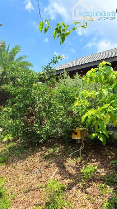 🏡 BÁN KHU NHÀ VƯỜN NGHỈ DƯỠNG CAO CẤP GẦN HỒ – MẶT TIỀN TỈNH LỘ 992 – CHÂU ĐỨC, TP.HCM 💰 - 9