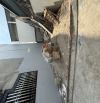 ĐẤT ĐẸP ĐÔNG TRÙ, ĐÔNG HỘI – 56M² – TÀI CHÍNH 4 TỶ