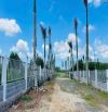 Bán lô đất 1000m2 Phước Hội- Đất Đỏ BRVT Dt: 1000m2 (34x28)  Đường nhánh Nguyễn Huệ