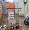 BÁN LÔ ĐẤT KIỆT CÁCH MẠNG THÁNG 8-KHUÊ TRUNG-CẨM LỆ-ĐÀ NẴNG-GIÁ RẺ