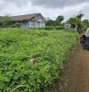 🅿️❇️Đất hẻm ka8, Eatu, Phường Tân An chỉ 795 triệu, 5x20m, thổ cư bìa riêng❇️