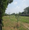 500m2 - Giá 1x - Tách thửa được - Chủ cần tiền cần bán - Vị trí kết nối - Gần DH09