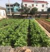 Bán đất Hoa Hậu xã Bột xuyên, Mỹ đức, HN 82 m 2 mặt thoáng, ô tô vào đất