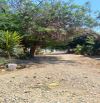 Bán 1000m2 đất khu phố 4 hàm Tiến, Phan Thiết