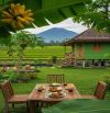 BÁN KHU DU LỊCH SINH THÁI FARMSTAY – VIEW NÚI RỪNG & SÔNG CU ĐÊ