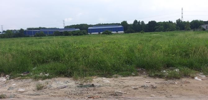Chủ Gửi Bán 4,1ha đất P. An Điền, TP BẾN CÁT, Bình Dương Giá chỉ 1,8tr/m2.