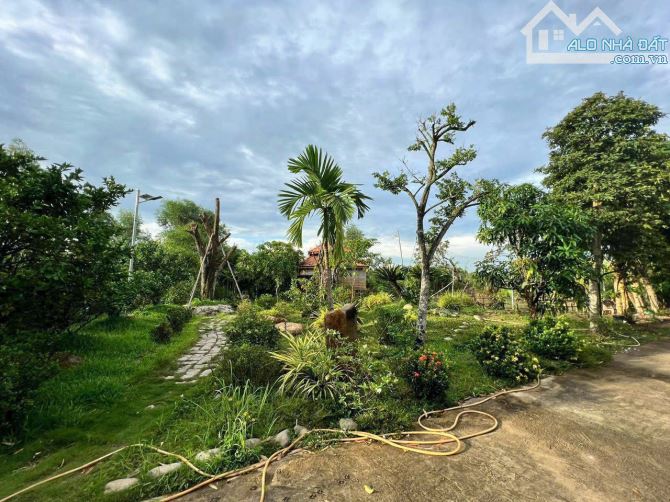 Cần bán đất + nhà vườn view kênh sông sài gòn đường Cây Gõ Xã An Nhơn Tây 4200m2 2000m thổ