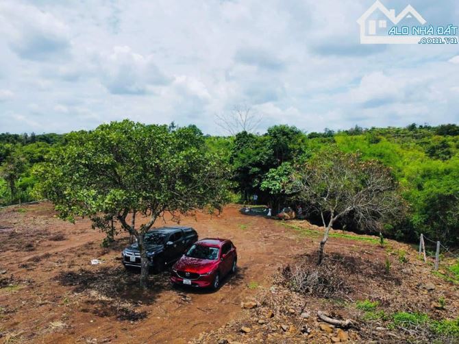BÁN LÔ ĐẤT TRỒNG CÂY ĂN TRÁI TẠI CHÂU ĐỨC, BRVT  Tổng diện tích: 20.086m² (420m x 46m)
