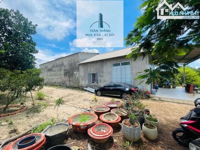 10 Mẫu Đất View Hồ - Có 300m Thổ Cư - Giáp Nước - 1.000m Mặt Tiền Đường Nhựa