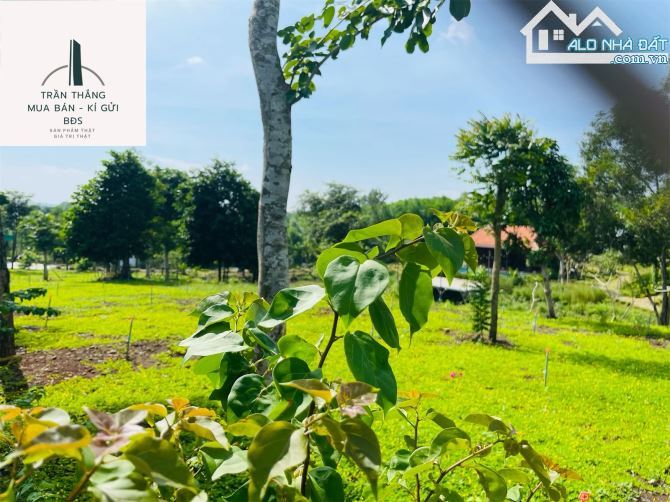 Đất Sào xã Suối Rao - Phủ hồng - Kế bên Khu Nghĩ Dưỡng đang hình thành