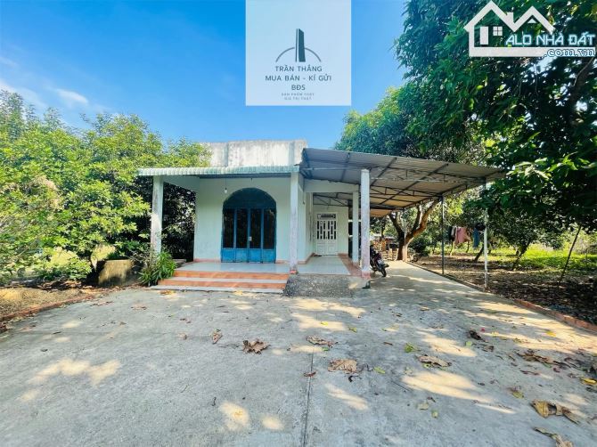 Đất Mẫu có Thổ cư -  nhà - Vườn Cây Ăn Trái thích hợp nghĩ dưỡng