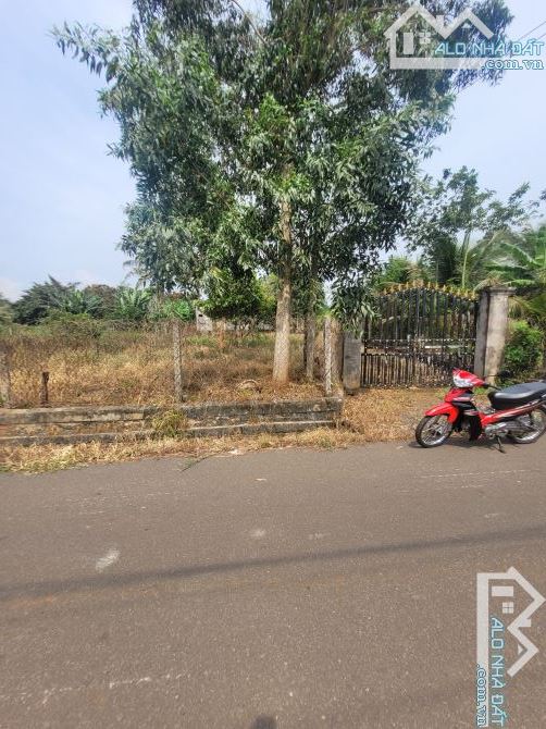 Cần bán 3059m2 sẵn 200tc gần khu công nghiệp sonadezi ngay trung tâm xã SUỐI NGHỆ.