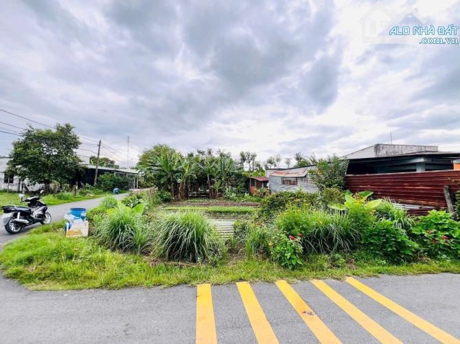 Bán đất góc 2 mặt tiền nhựa sát đường QL22 xã Tân Thông Hội Củ Chi TPHCM, DT: 12,5x24m.