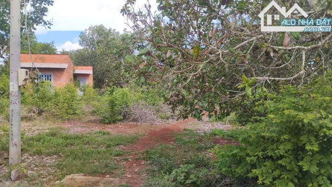Bán gấp đất Quảng Thành – 10 sào – 2 mặt tiền, đường lớn – giá tốt đầu tư