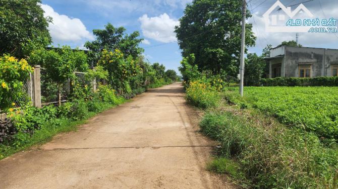 Bán lô đất mặt tiền đường bê tông sẵn thổ cư xã Nghĩa Thành, tp Hồ Chí Minh